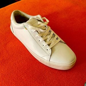 Brand new Toms sneakers!